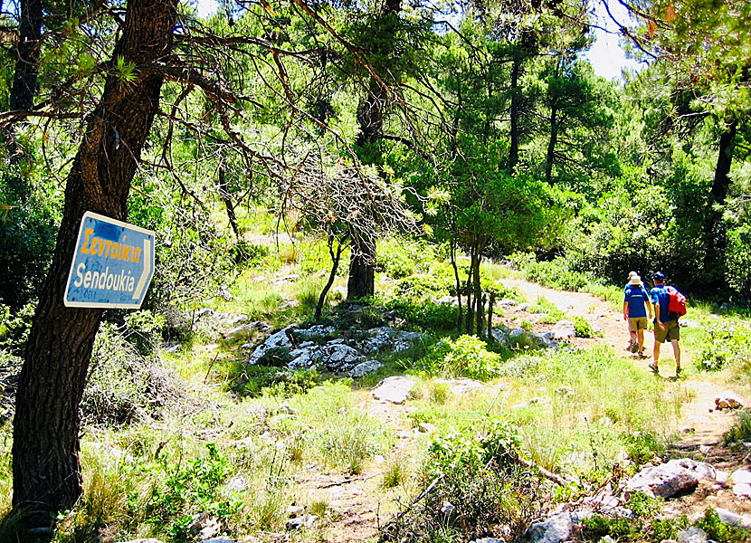 The walk to the burial site of Sendoukia on Skopelos is easy and very beautiful.
