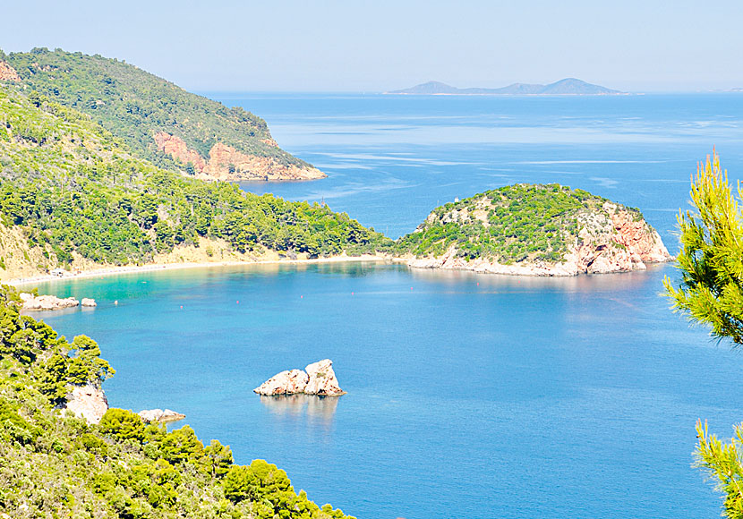 Where Stafilos beach on Skopelos ends, the path leading to Velanio beach begins.