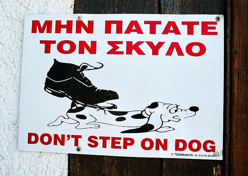 Dogs in Greece and the Greek Islands.