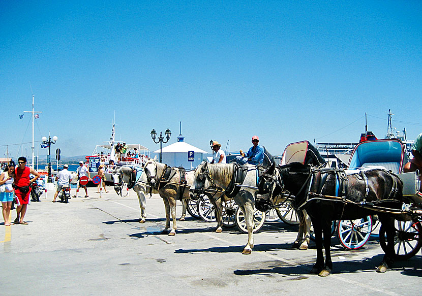 There are no taxis on Spetses but there are many horse-drawn carriages.