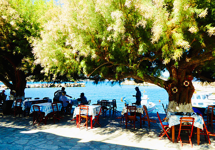 Taverna To Delfini in Agios Antonios is one of the best restaurants in Tilos.