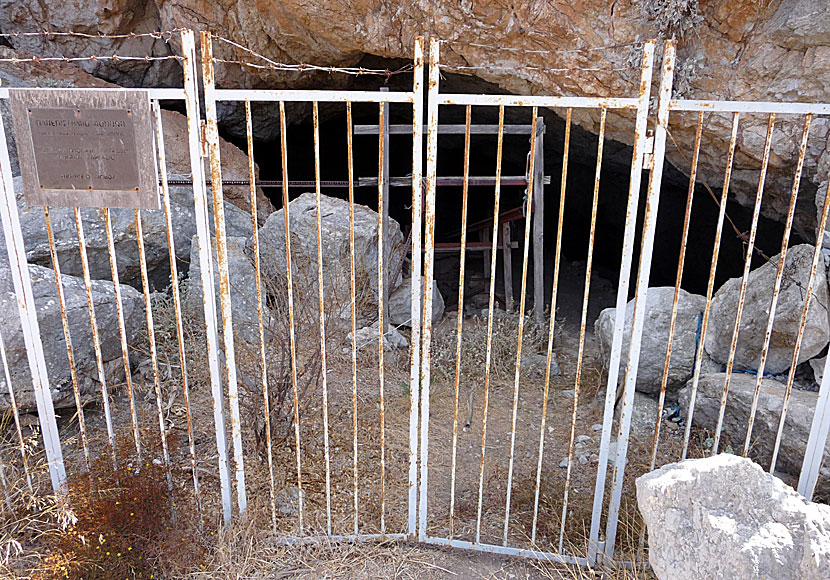 Dwarf elephants and mini elephants in Charkadios cave on Tilos in Greece.