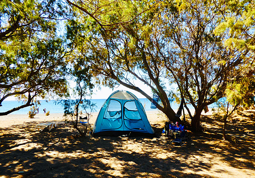 Camping under the tamarisk trees on Eristos beach on Tilos is quite common.