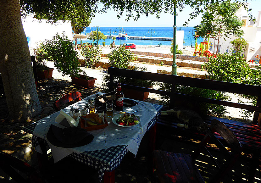 Ouzeira Omonia is the best lunch restaurant on Tilos.