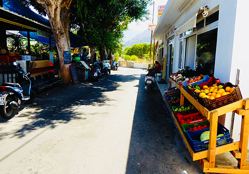 Moped rental between Michalis Taverna and Jannis Supermarket in Livadia on Tilos.