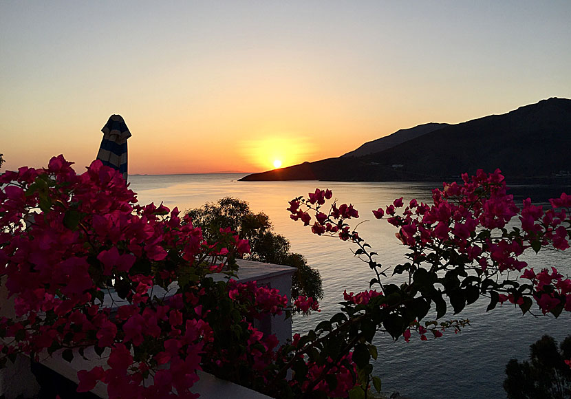 Can one day in Livadia on Tilos start better than a cup of coffee, a bouquet of bougainvillea and a sunrise.