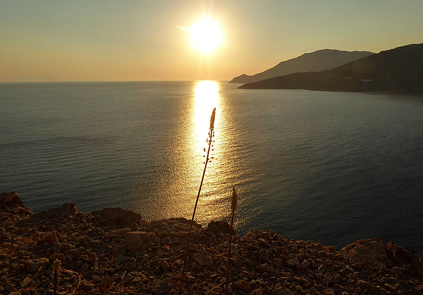 The sunrise seen from the path to Lethra beach on Tilos.