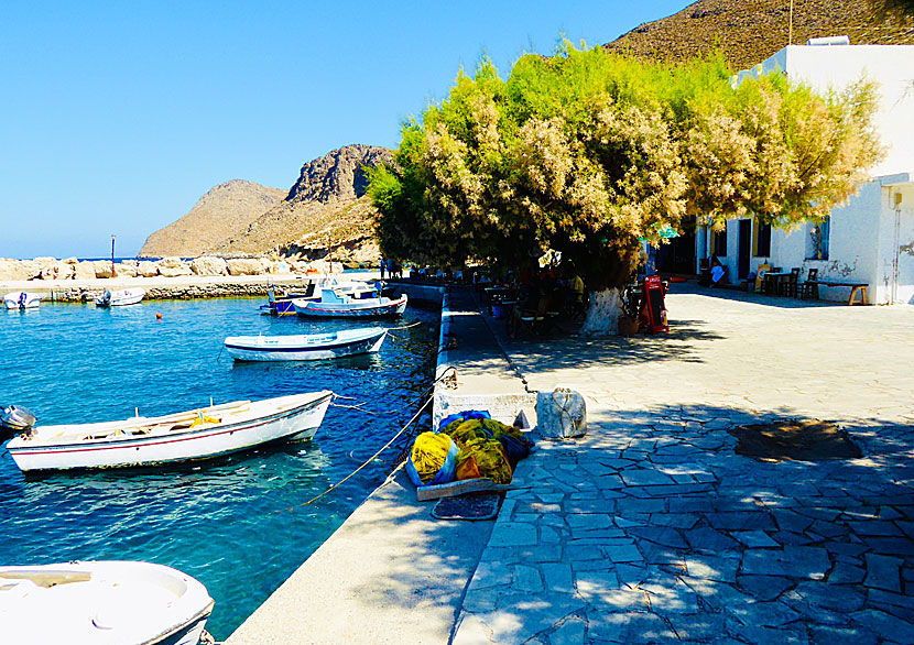 Taverna To Delfini in the fishing port of Agios Antonios.