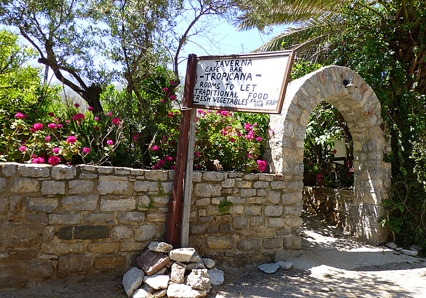 Taverna Tropicana in the Eristos Valley on Tilos.