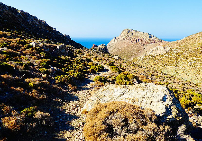 The hike down to Tholos beach on Tilos takes between 40 and 50 minutes.