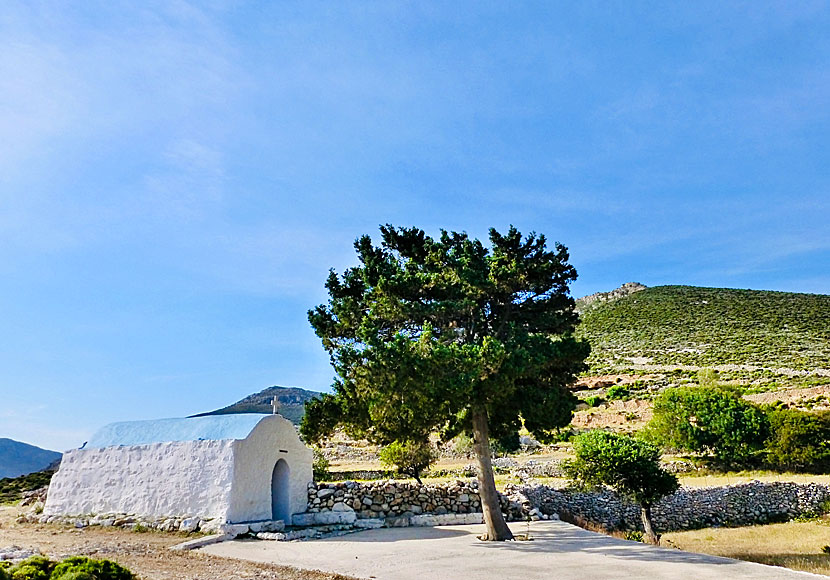 The tree outside Agios Ioannis church that gives the place shade.