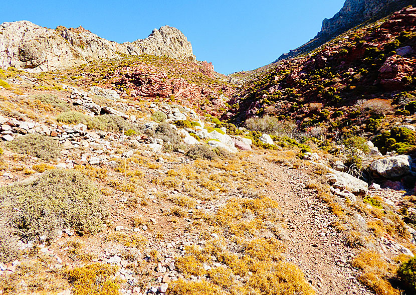 There are easy and difficult hikes on Tilos, the one to Tholos beach is difficult.