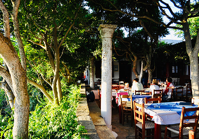 Taverna Drosia in Ktikados on Tinos.