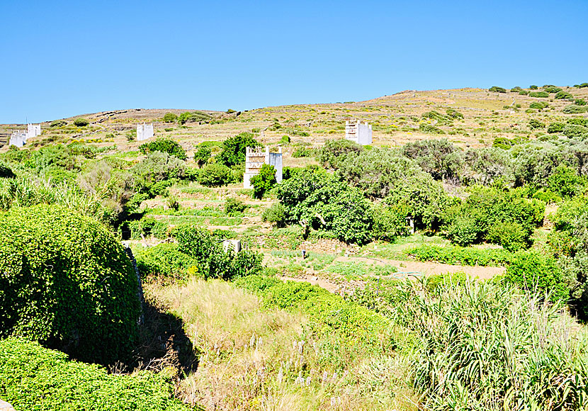 Dovecotes outside of Tarabados in Tinos.