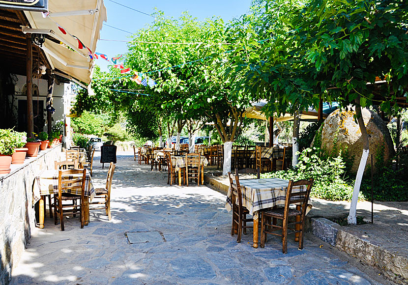 Restaurants in Volax on Tinos.