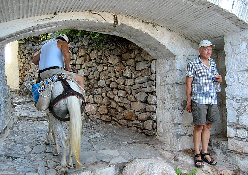 Don't stand so close to with The Police when they are riding a donkey on Hydra in Greece.