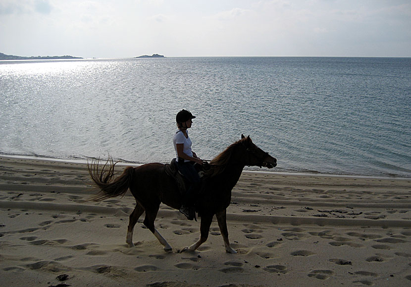 A horse with no name with America while riding a horse at Plaka beach on Naxos.