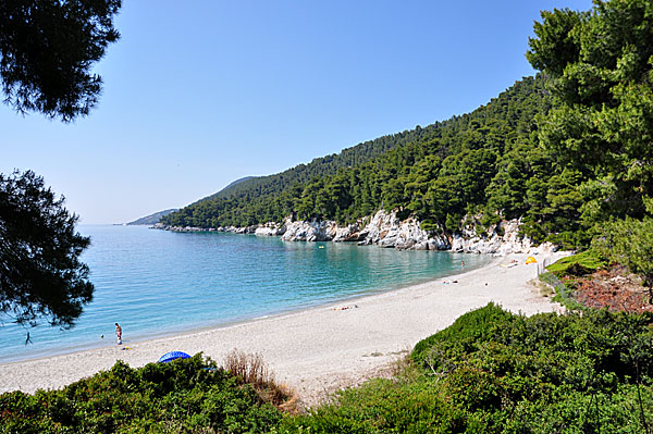 Kastani beach in Skopelos. Mamma Mia - The Movie.