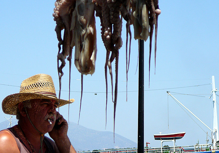Ring, Ring with ABBA at the port on Egina in Greece.