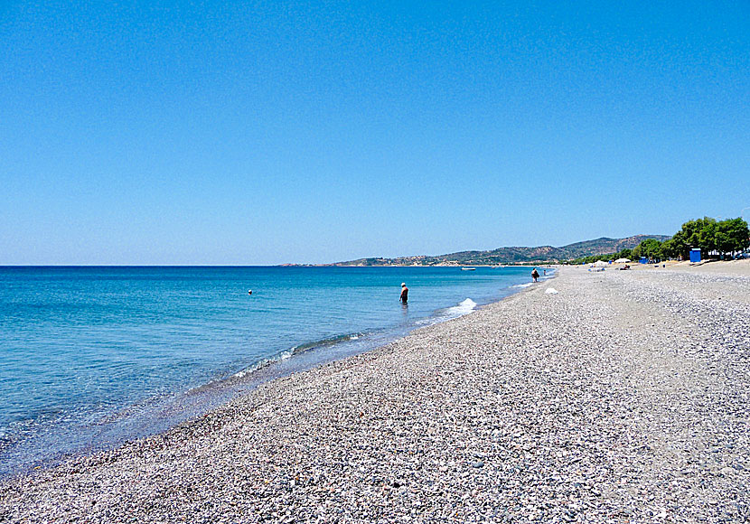 Vatera beach in Lesvos is one of the longest beaches in all of Greece.