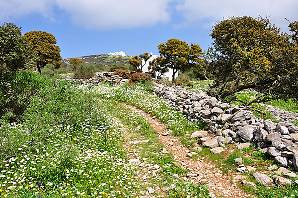 The monastery Agios Theologos.