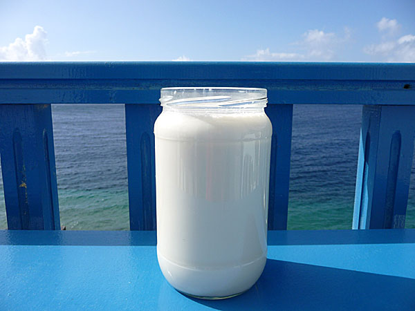 Fresh goat milk Amorgos.