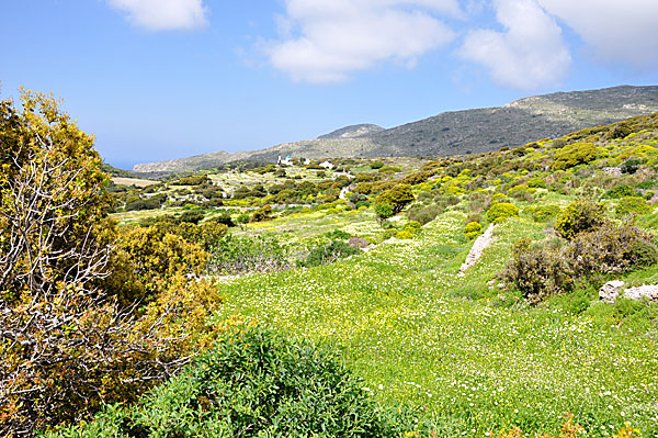 Hike to the monastery of Agios Theologos