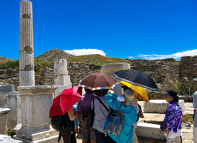 Guided tours on Delos. There is no shade so please come early in the morning.