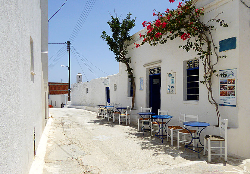 Chora on Schinoussa is one of the most rural and charming, villages, throughout the Cyclades.