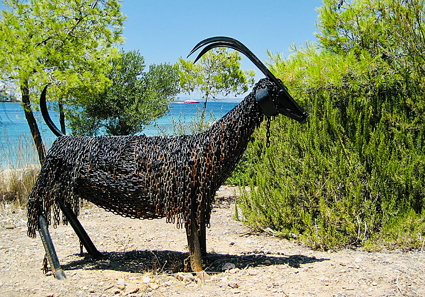 Goats on Spetses island.