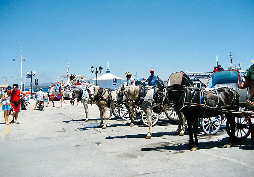 Horse-drawn carriages are a common means of transport on Spetses in Greece.